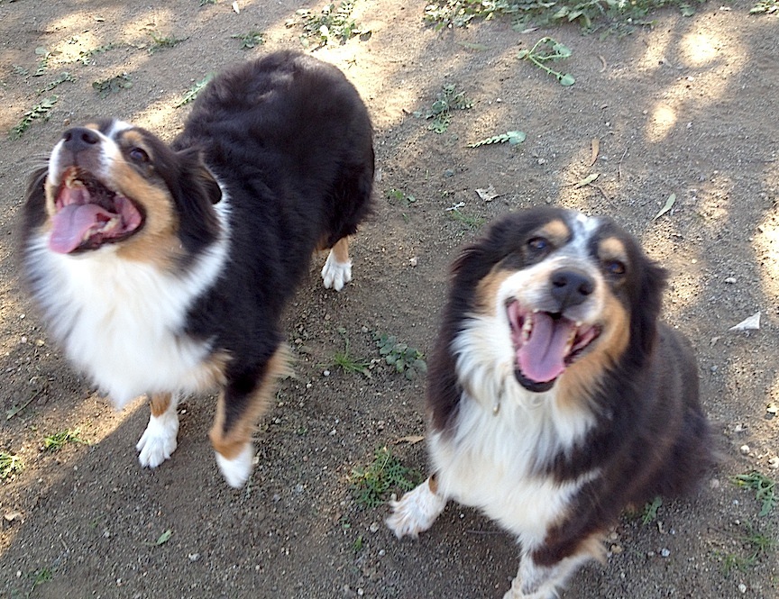 Emmy and Abby
