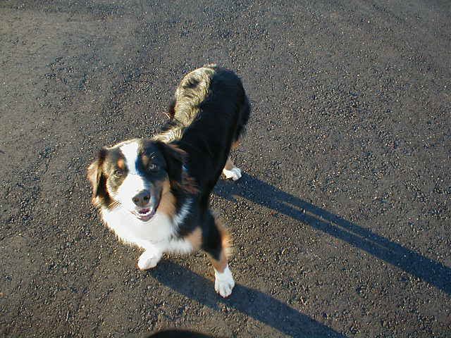 Charlie