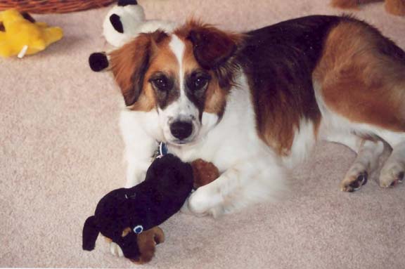 Dawson