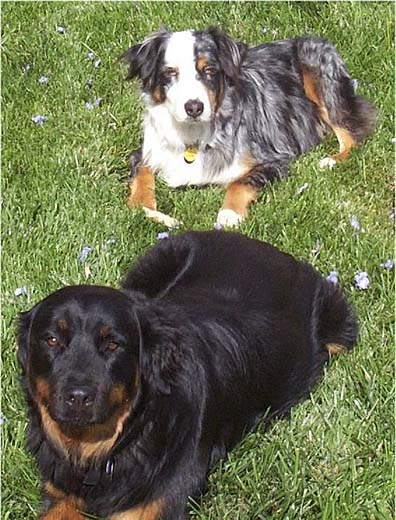 Max and Roxy