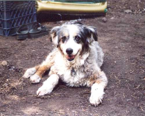 Abby