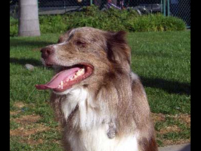 Tucker