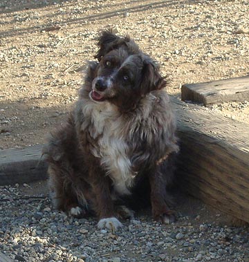 Finnegan_wkaryl