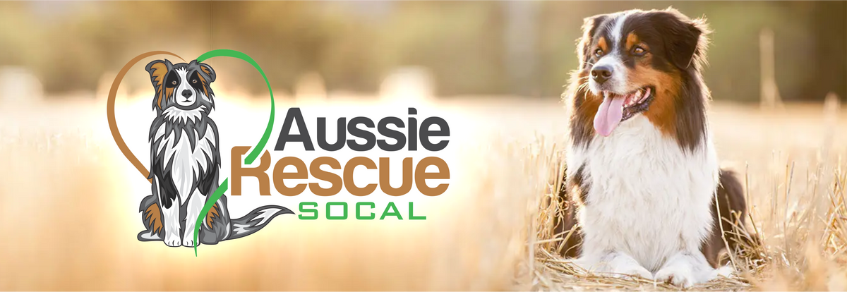 Aussie Rescue Placement Helpline